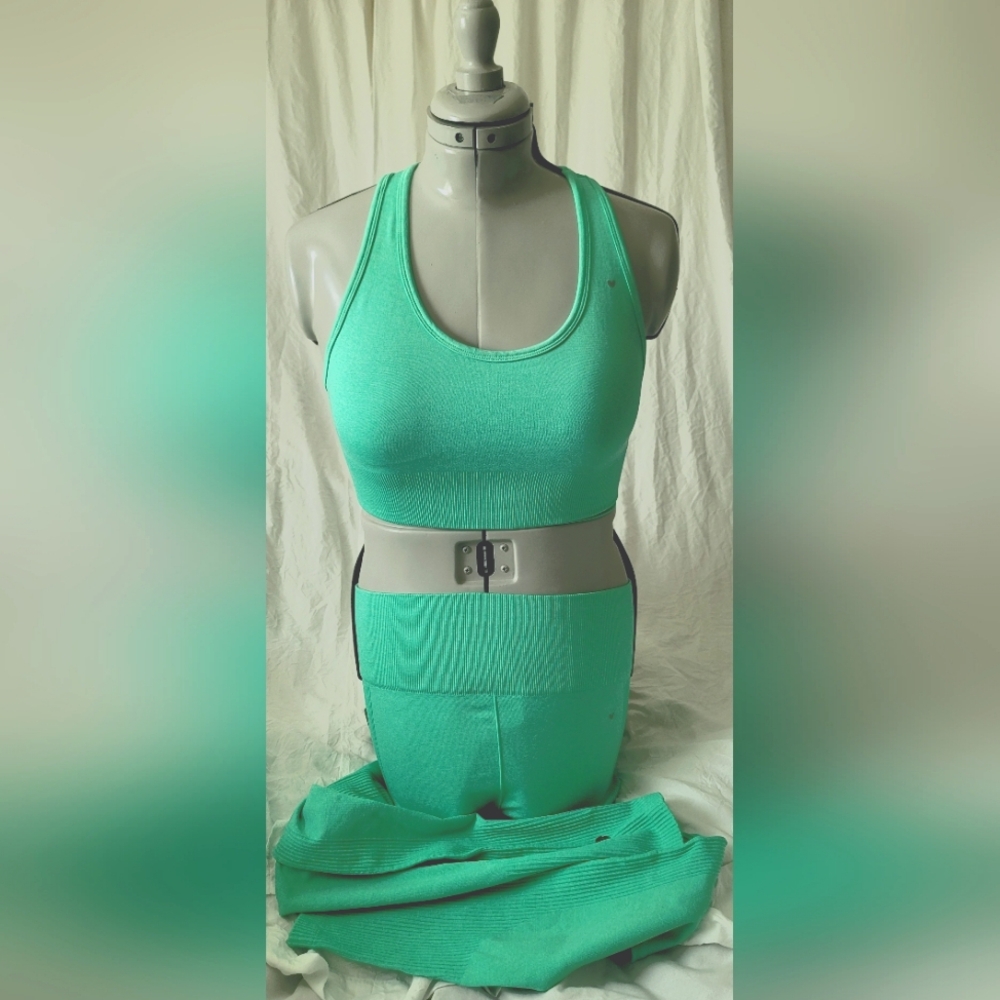 LoveFitness Apparel Large Bra Medium Leggings